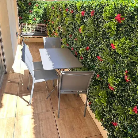 Charmant 2 Pieces Apartment Antibes